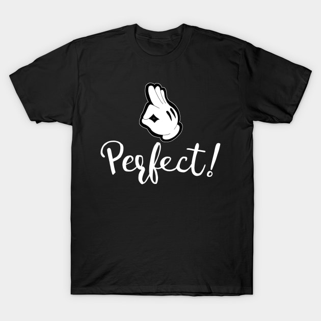 Perfect! T-Shirt by RetroRobosan